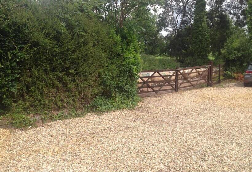 مبيت وإفطار Meadowview