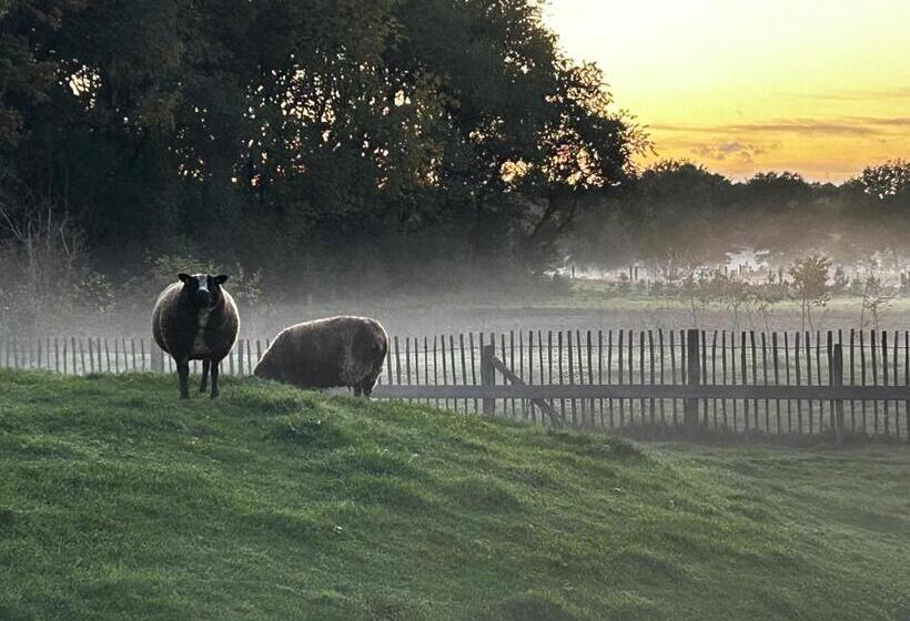 هتل Duynparc Soest