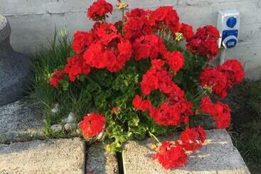پانسیون Camera Con Giardino E Piscina