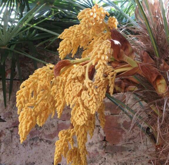 住宿加早餐  Cour Sud