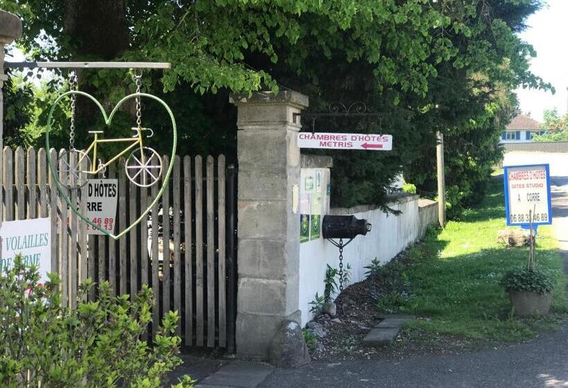 Bed and Breakfast Metris Gaelle