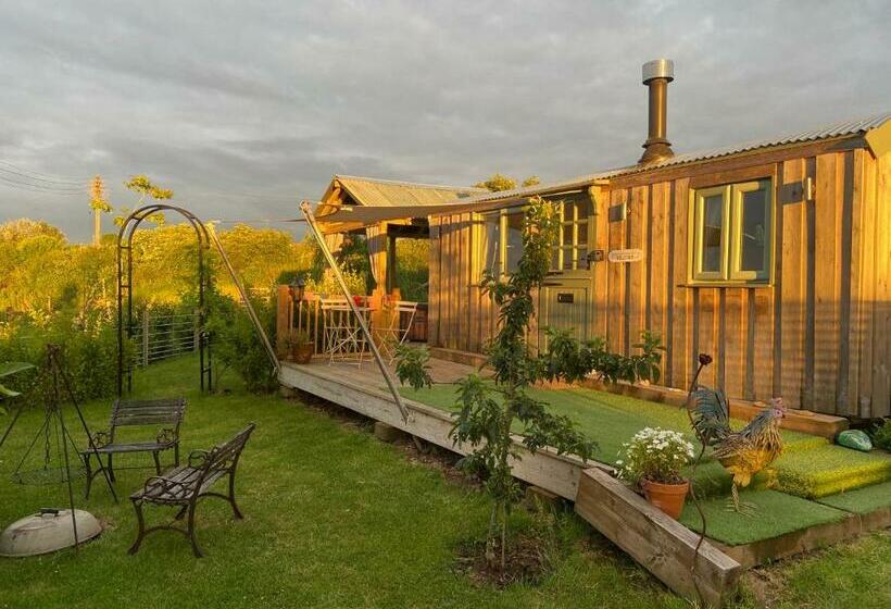 Отель Willowbank Shepherds Hut