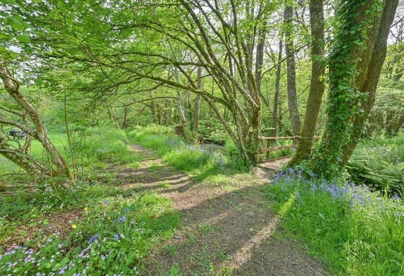 ベッドアンドブレックファースト Wray Valley