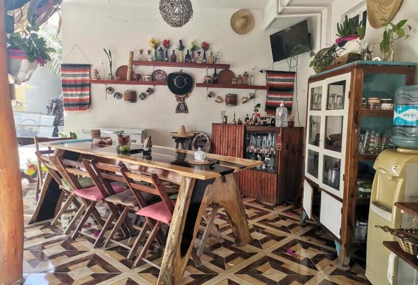 Zayali Bacalar   Guest House