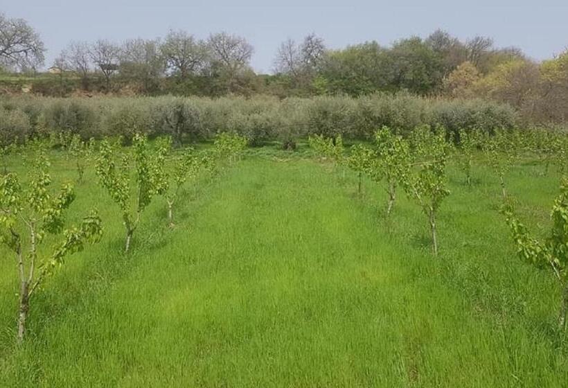 مبيت وإفطار Gaeleon Campofilone