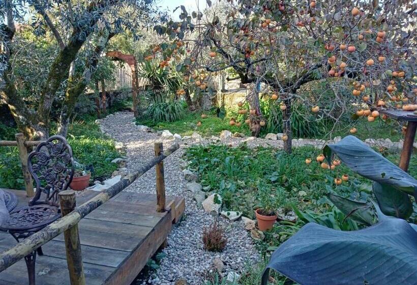 צימר Quinta Dos Church