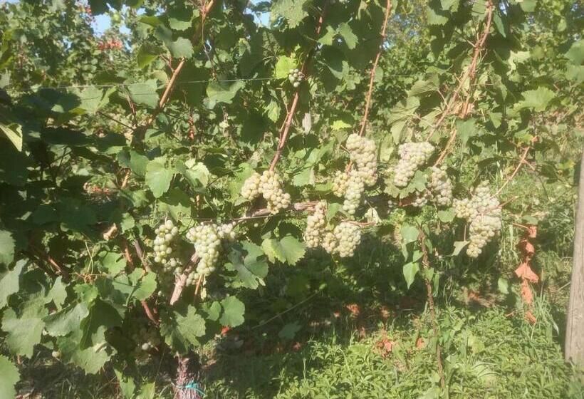 ホテル Agriturismo Fioralba