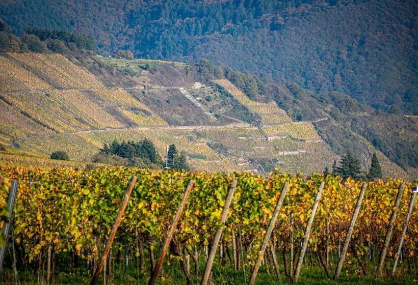 ペンション Gästehaus Bausch