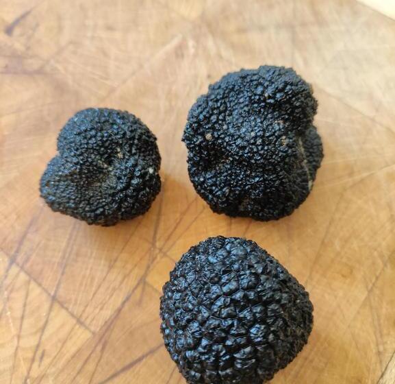 住宿加早餐  Chez Pascaline