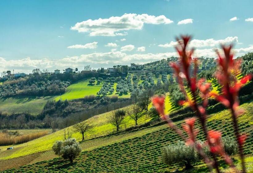 مبيت وإفطار La Casa Del Nonno