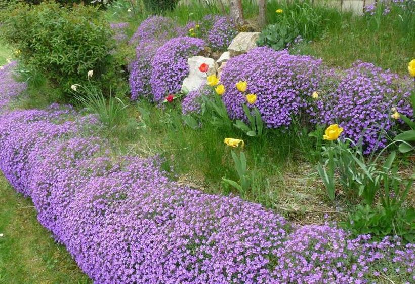 مبيت وإفطار Les Aubretias