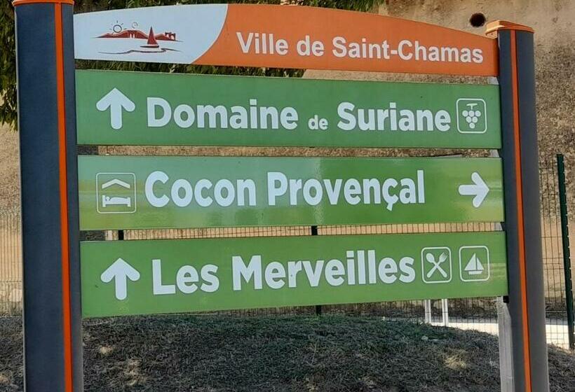 住宿加早餐  Cocon Provençal   T1 25m2   Sdb   Terrasse Privée & Accès Piscine à Saint Chamas