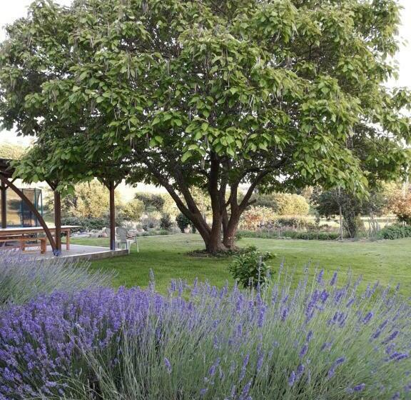 ペンション Village De Vie