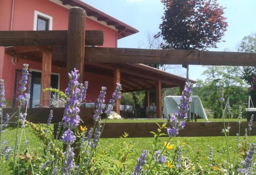 مبيت وإفطار La Cascina Nel Bosco