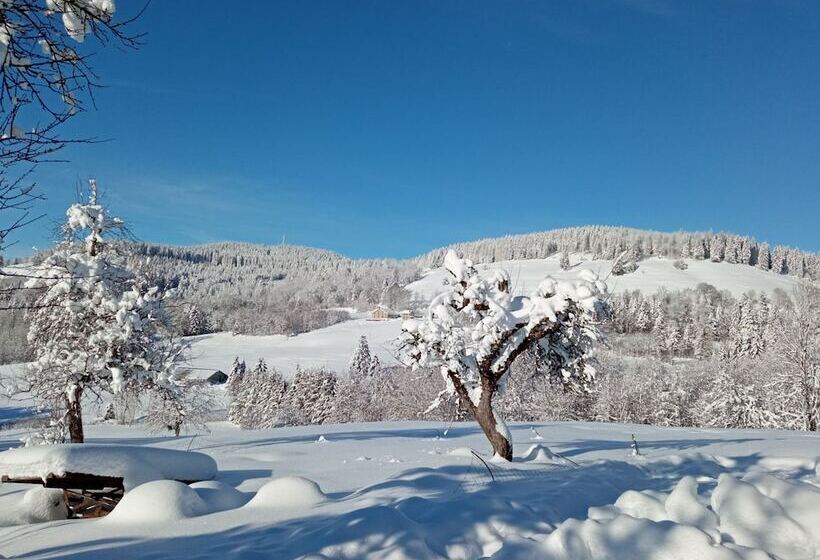민박 La Ferme De Jean Entre Lacs Et Montagnes