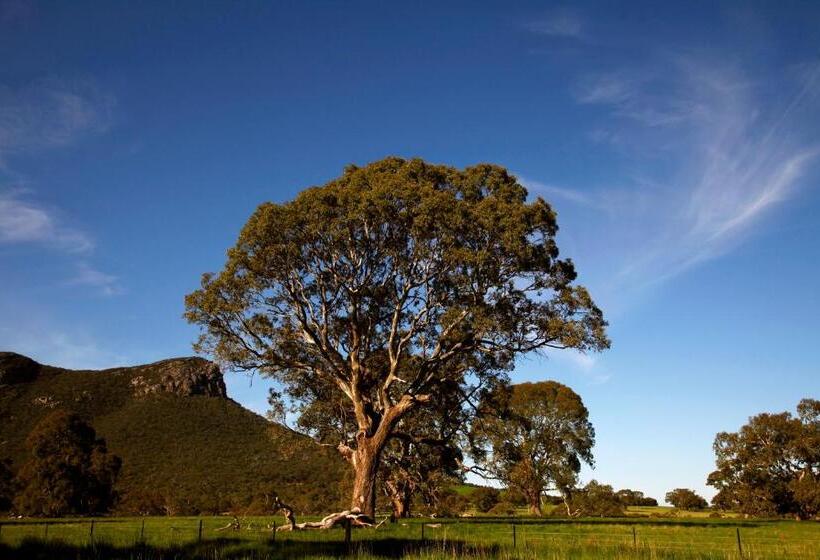 호텔 Dunkeld Studio Accommodation