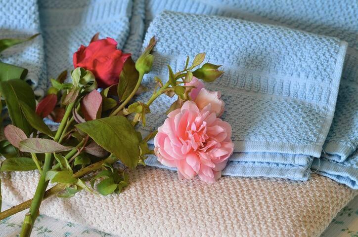 Rosa Tea B&b