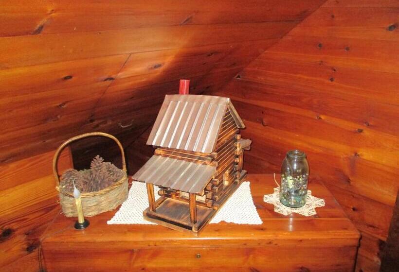ホテル The Best! Gorgeous Cabin W Antiques For 2, Near Princeton  I 77