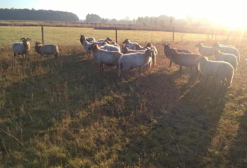 ベッドアンドブレックファースト Pipowagen Elsebein Groningen Westerwolde Unieke Ligging Met Eigen Tuin En Vrij Uitzicht Over Veld Na