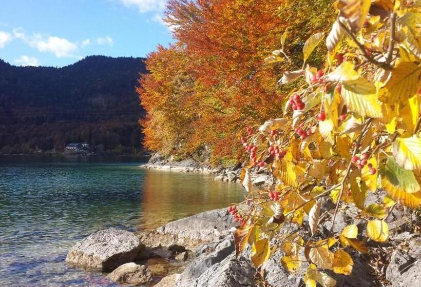 Пансион Ferienwohnungen Berghof