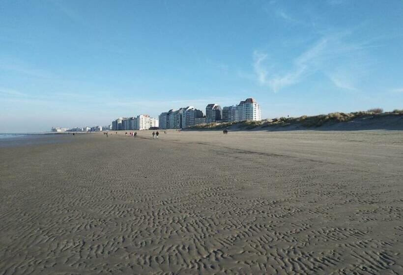 ペンション Knokke Guestroom Charming Room In Knokke City Center Is Pet Friendly!