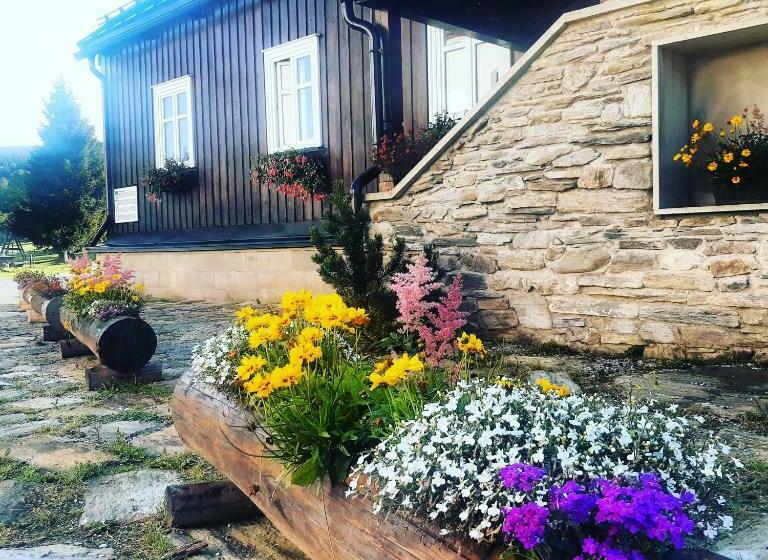 بنسيون Stará škola