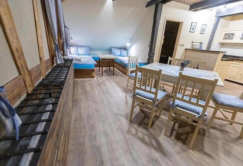 بنسيون Stará škola