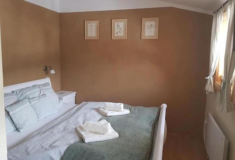 بنسيون Stará škola