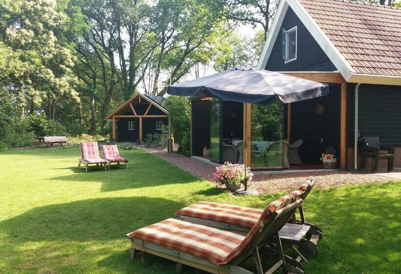 B&b Immer Met Moed
