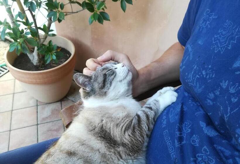 민박 Il Colibrì Bed&breakfast