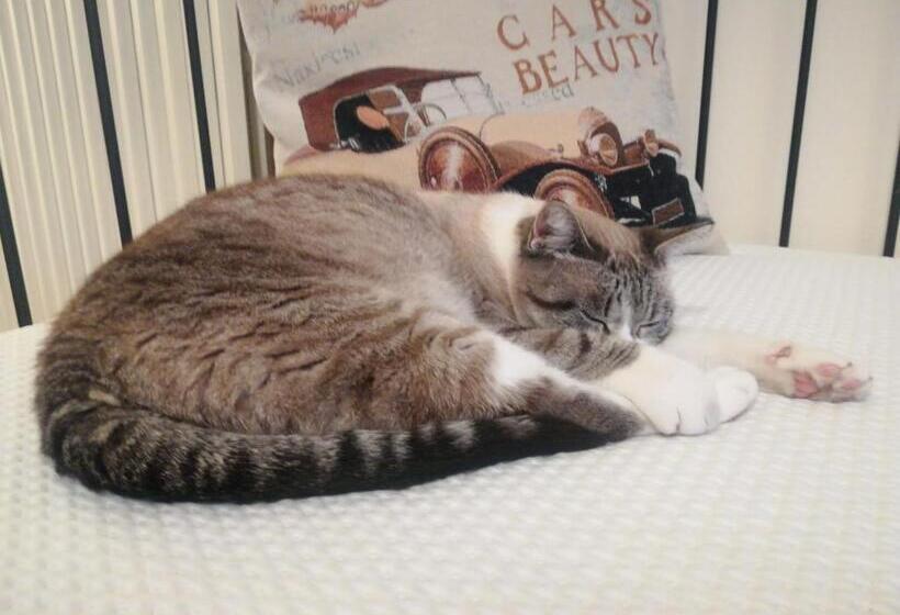 민박 Il Colibrì Bed&breakfast