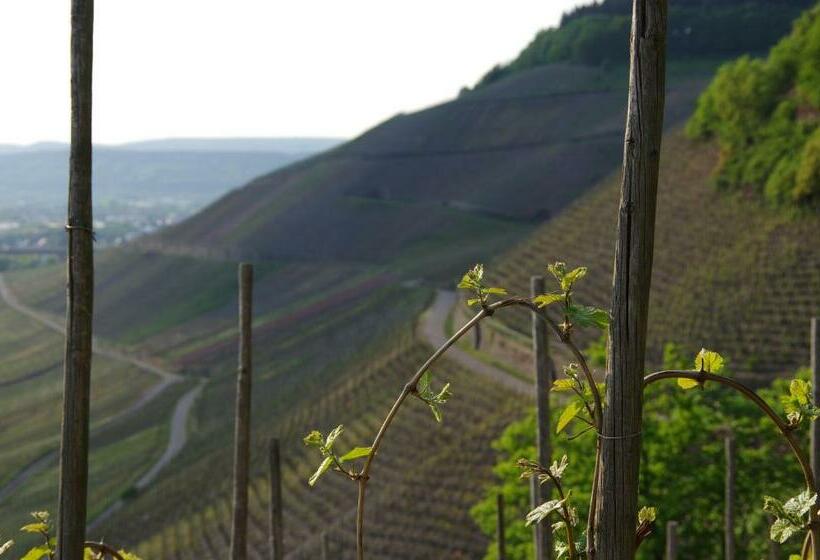 ホテル Weingut Weich