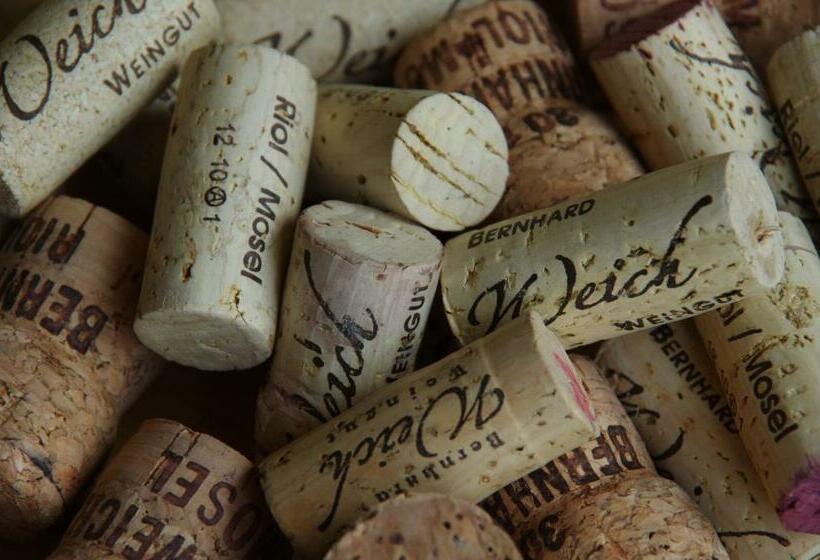 ホテル Weingut Weich