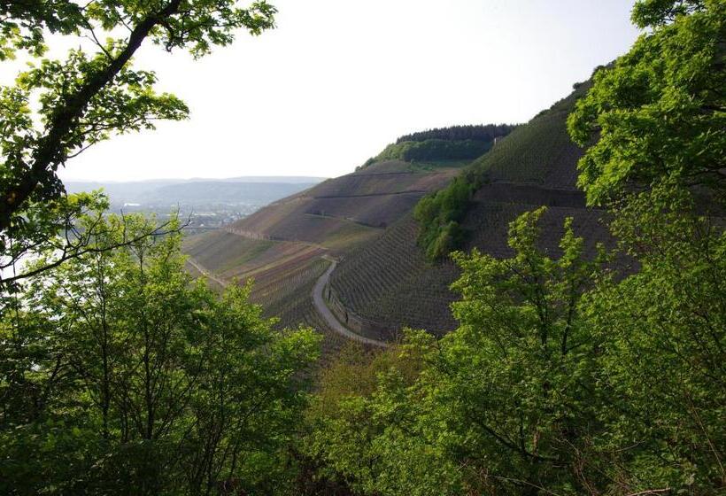 ホテル Weingut Weich