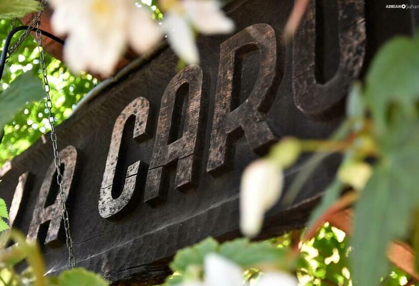 پانسیون Carul Cu Flori