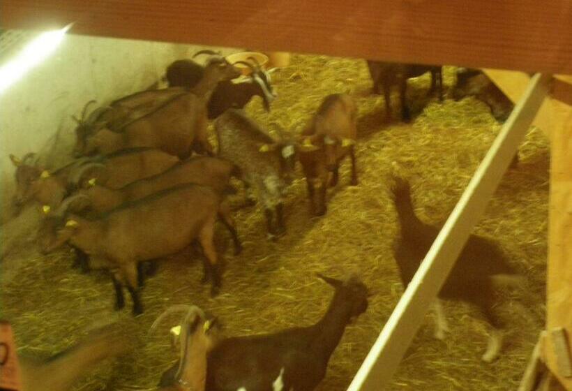 住宿加早餐  Gite Im Berg