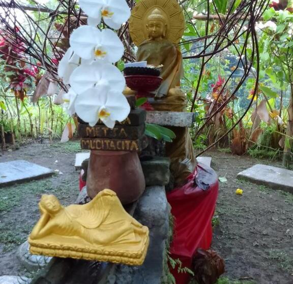 펜션 Bucu Hidden Guest House, And Meditation Center