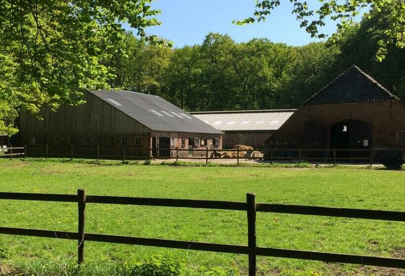 ベッドアンドブレックファースト Boerderij De Enkhoeve