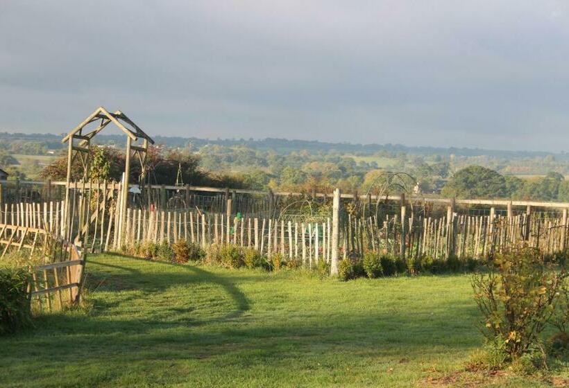 مبيت وإفطار Mapperton Hill Farm
