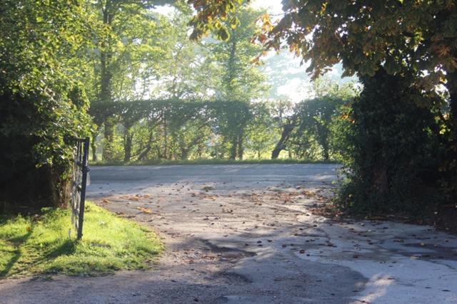 مبيت وإفطار Mapperton Hill Farm
