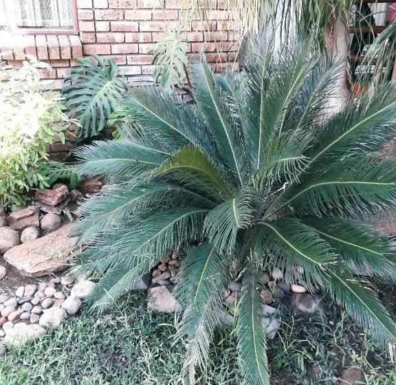 ペンション Burgersfort Gastehuis