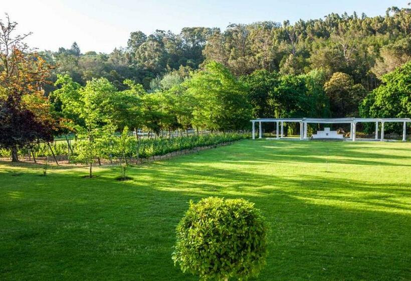 פנסיון Caledon Grace Guesthouse