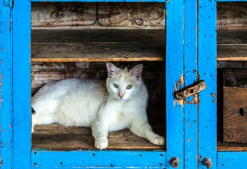 פנסיון Caledon Grace Guesthouse