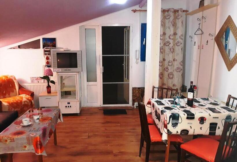 פנסיון Hostel Pascalis Alesd