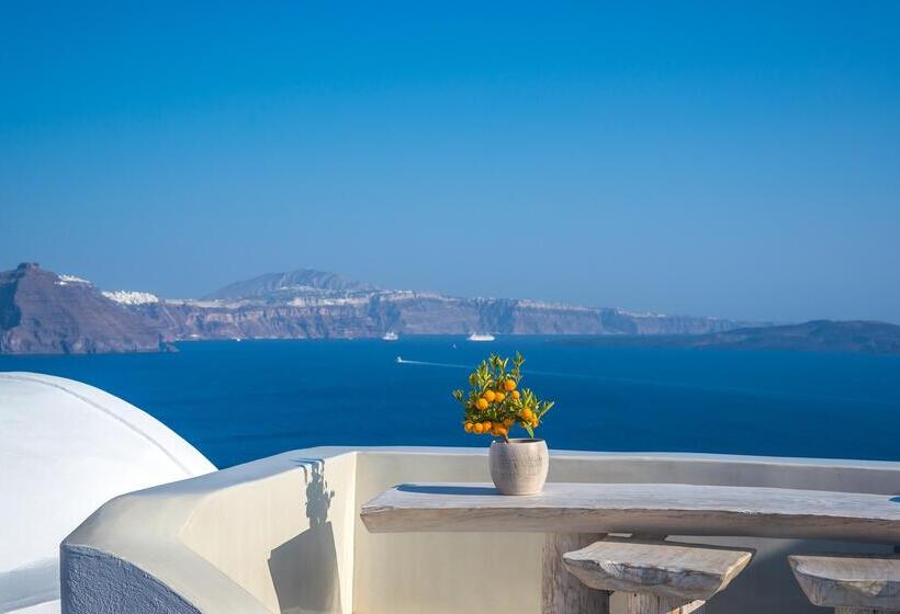 هتل Andronis Boutique