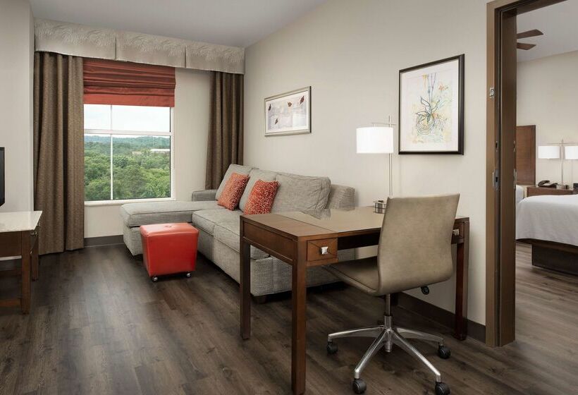 酒店 Embassy Suites By Hilton Birmingham Hoover