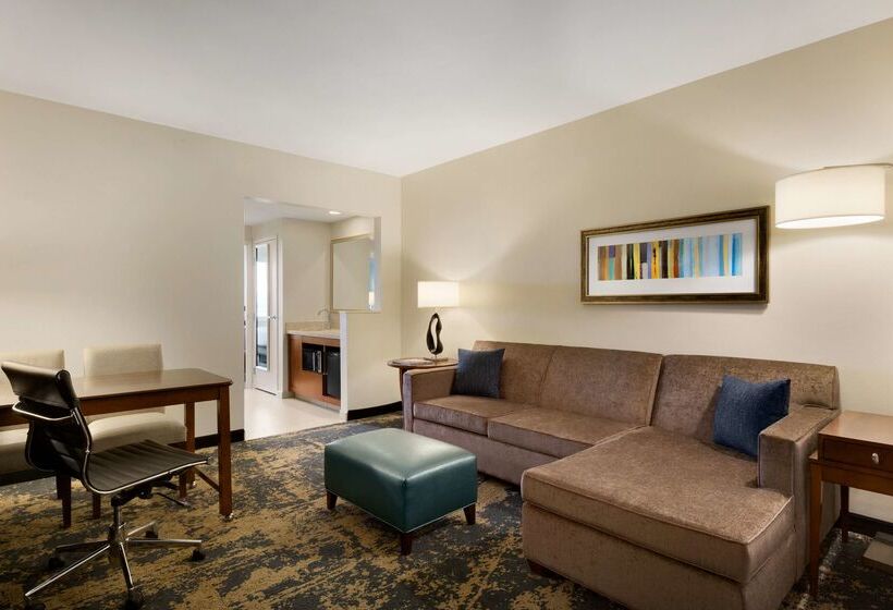 هتل Embassy Suites By Hilton Denver Downtown Convention Center