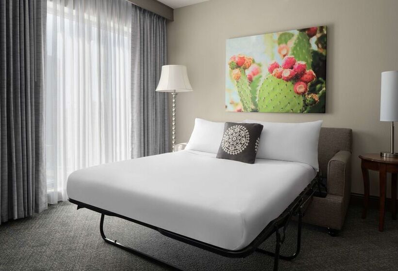 هتل Embassy Suites San Antonio Riverwalk Downtown