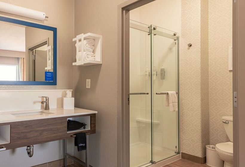 酒店 Hampton Inn & Suites Boerne