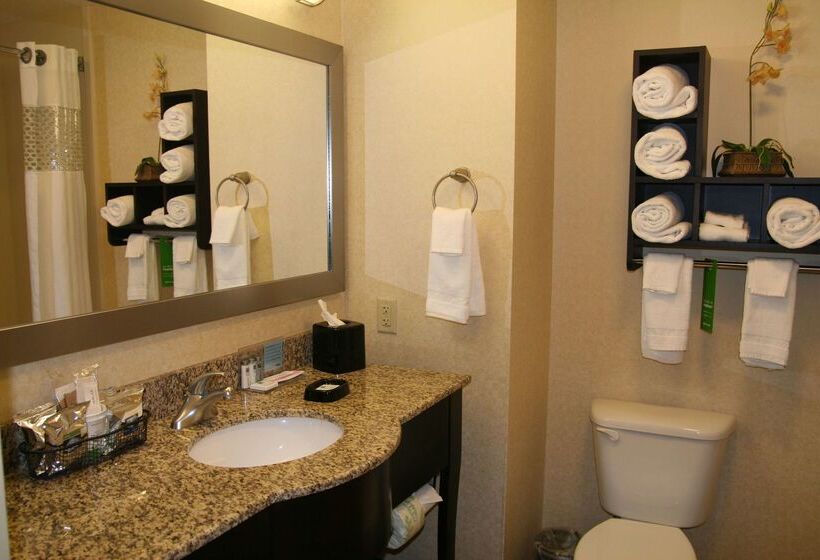 Отель Hampton Inn Dandridge